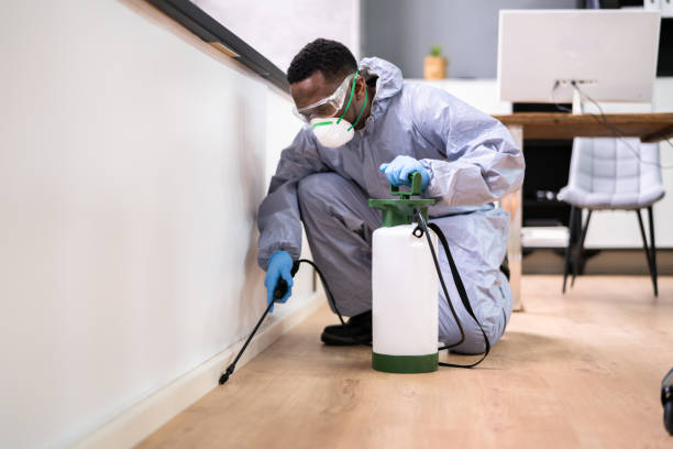 Best Fumigation Services  in Zwolle, LA